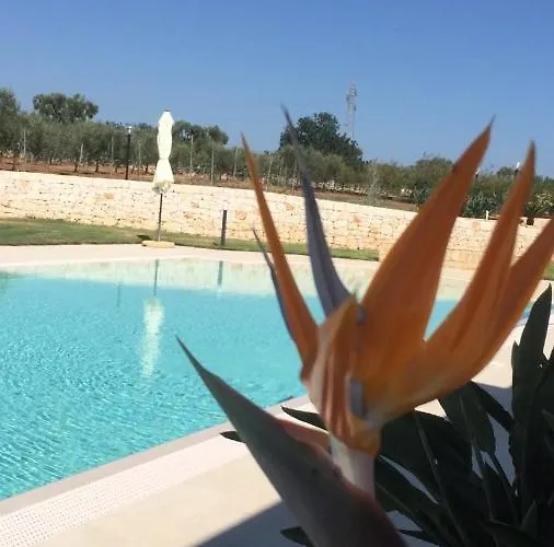 Apartment I Trulli Di Gina Trullo 6 Persone