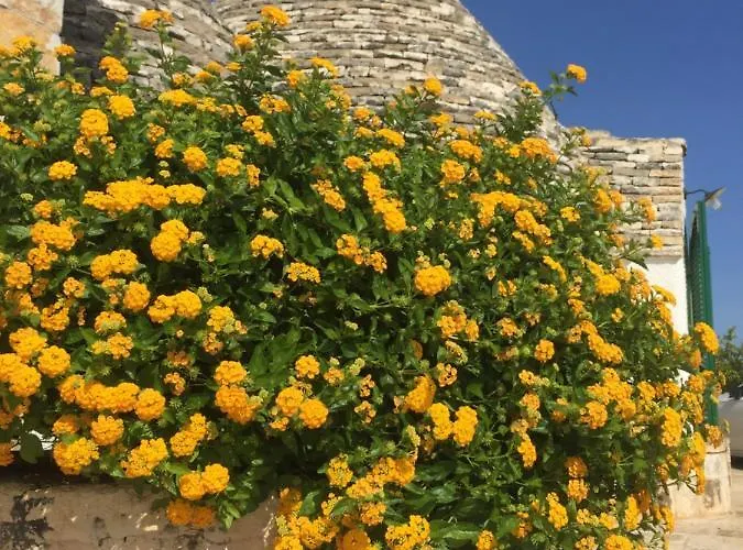 Apartment I Trulli Di Gina Trullo 6 Persone